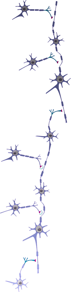 Neuronios introducao dois